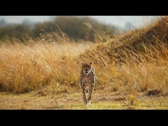 나이트 비전 안경 - 성인용 5K 나이트 비전 망원경, 5000mAh 충전 가능한 적외선 망원경