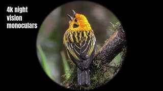 4K 고품질 나이트 비전 단안