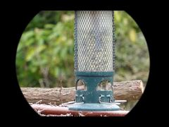 4K 비디오 Mini91 나이트 비전 단안