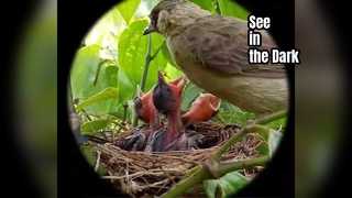 Hondigi 나이트 비전 고글 관찰